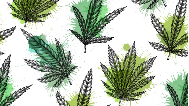 cannibus leaves pattern feature image