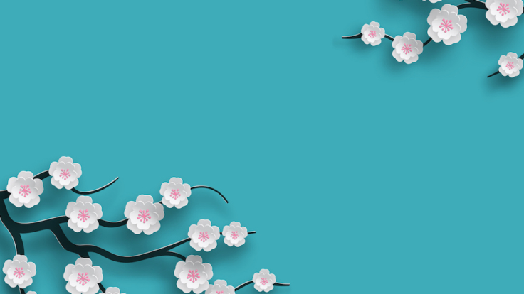 Floral background decorated blooming cherry flowers branch, bright blue backdrop for spring time season design. Banner, poster, flyer with place for your text. Paper cut out style, vector