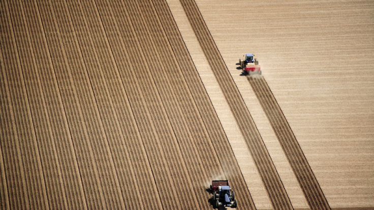 aerial view of 2 tractors planting potatoes in fields